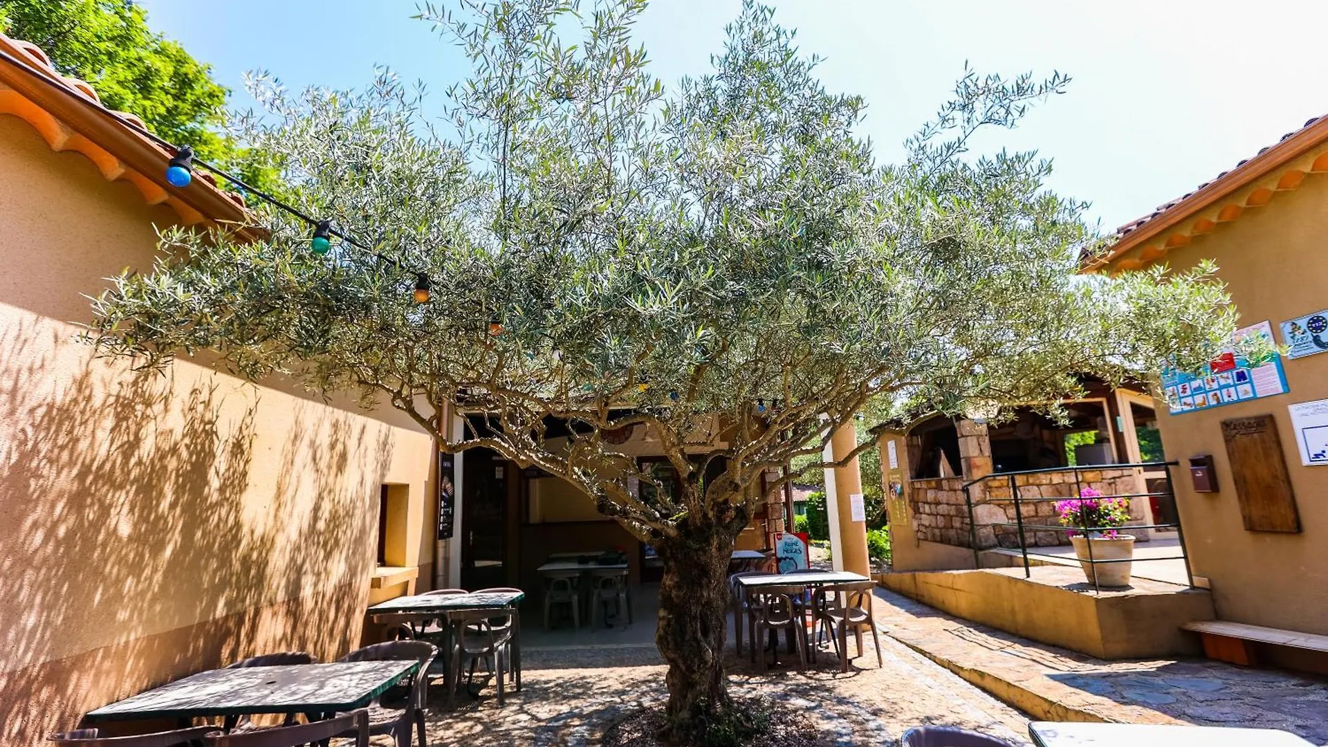 Chalet 2 chambres camping Les Cruses Ribes